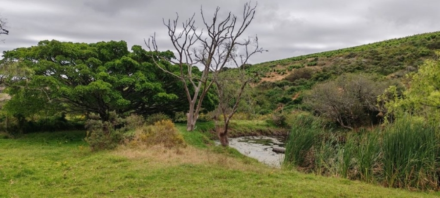 0 Bedroom Property for Sale in Darling Western Cape